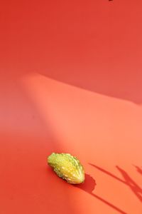 Close-up of orange slice on table against red background