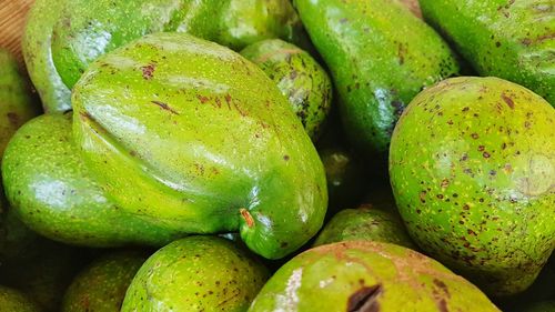 Avocadoes fruits with green yellow skin. delicious and healty foods for diet and vegetarian