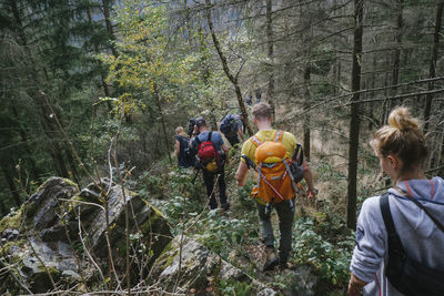 Rear view of people walking in forest