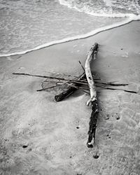 High angle view of driftwood on beach