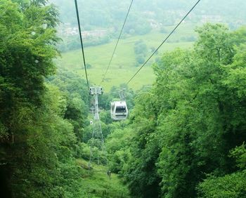 Overhead cable car amidst trees in forest against sky