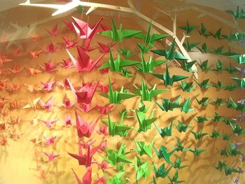 Full frame shot of multi colored wall