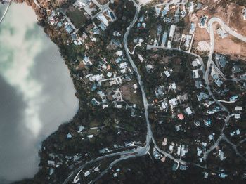 High angle view of trees and plants in city