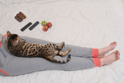 High angle view of cat resting on bed