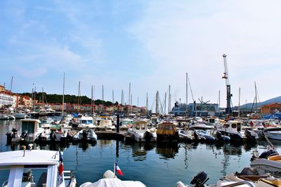 Sailboats moored at harbor against sky