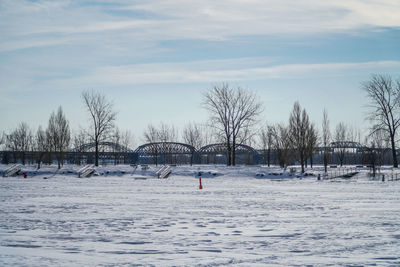 Snow covered bare trees against sky