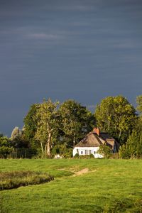 Trees and houses on field against sky