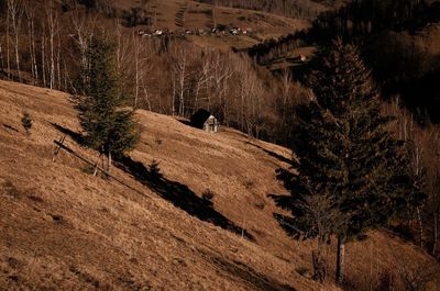 Rural landcape with cottage