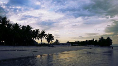 View of palm trees against cloudy sky