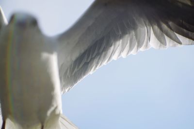 Low angle view of statue against clear sky