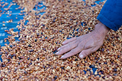 Cropped hand of person standing on pebbles