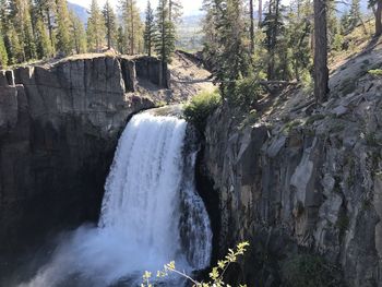 View of waterfall in forest