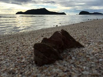 Scenic view of beach against sky