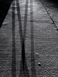 Full frame shot of shadow