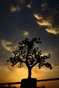 Low angle view of silhouette tree against sky during sunset