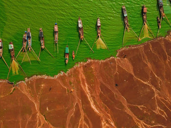 High angle view of plants by sea