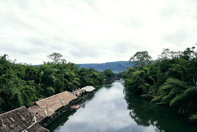 Scenic view of river amidst trees in forest against sky