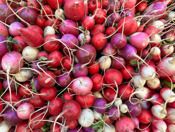 Full frame shot of radishes