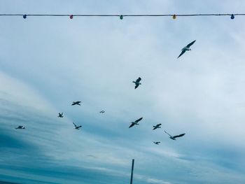 Low angle view of birds flying against sky