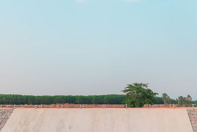 Trees and plants against clear sky