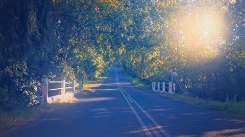 Road passing through trees