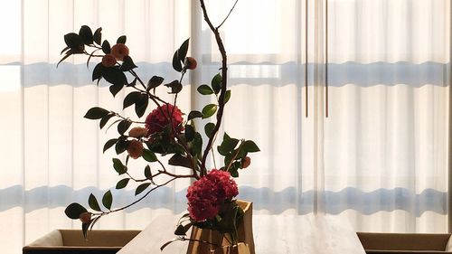 Close-up of flowers in vase on table against window at home