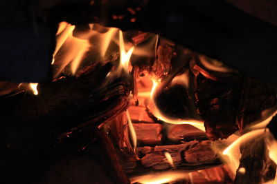 Close-up of bonfire at night