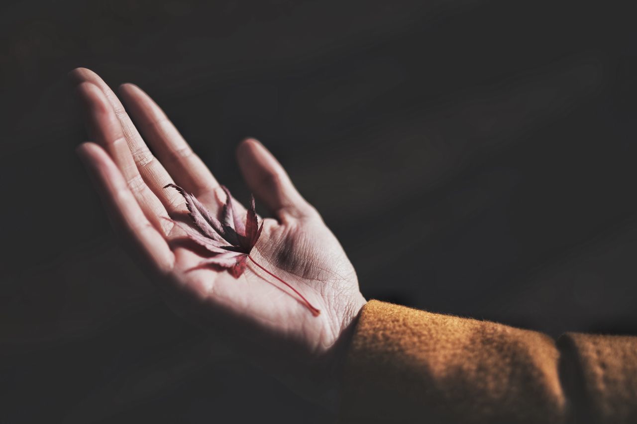 human hand, human body part, hand, indoors, one person, studio shot, body part, unrecognizable person, close-up, black background, real people, human finger, finger, human skin, skin, women, adult, lifestyles, copy space, human limb, obscured face