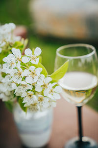 Close-up of white wine glass on table