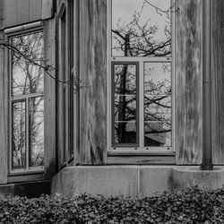 Close-up of window of house