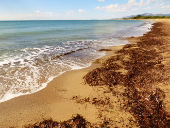 Scenic view of beach against sky