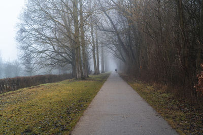 Road amidst trees during foggy weather