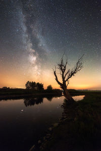 Silhouette tree by lake against sky at night