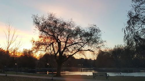 Bare trees by lake against sky during sunset