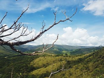 Scenic view of tree mountains against sky