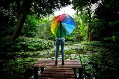 Rear view of girl with colorful umbrella standing on pier by lake at forest