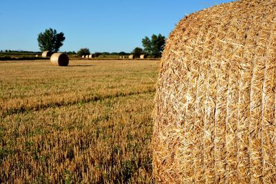 Bales of straw