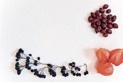 High angle view of berries on table