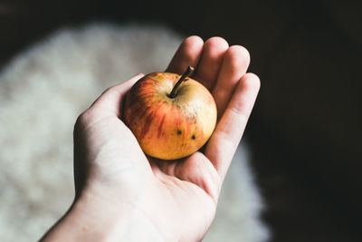 Cropped hand holding apple