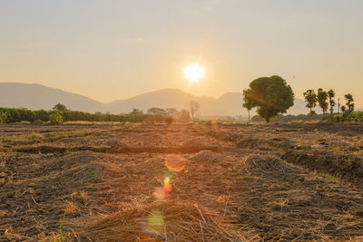 Scenic view of field against sky during sunset