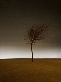 Bare tree on landscape against clear sky