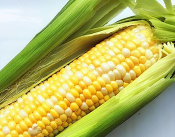 Close-up of vegetables