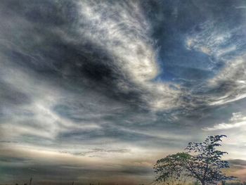 Low angle view of tree against dramatic sky