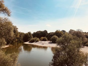 Scenic view of lake in forest against sky