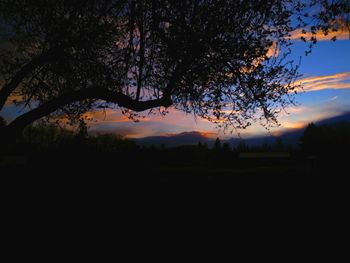 Silhouette tree on field against sky at sunset