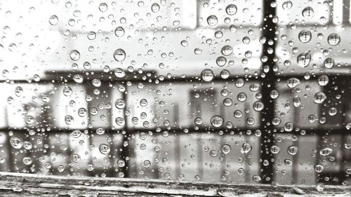 Close-up of water drops on leaf