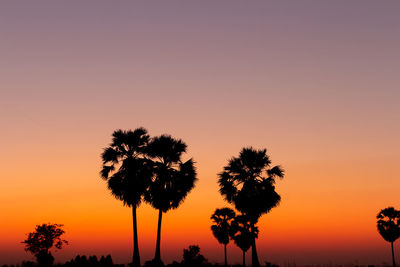 Silhouette trees against sky during sunset