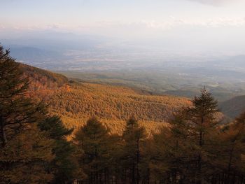 Scenic view of landscape against sky