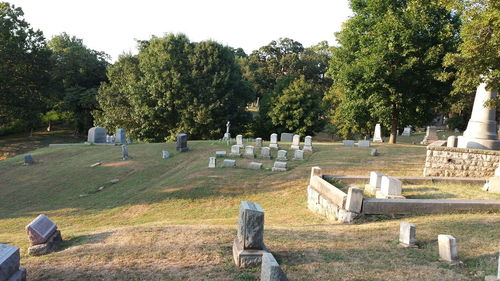 Trees in cemetery against sky