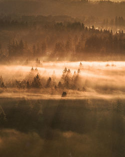 Scenic view of field against sky during foggy weather